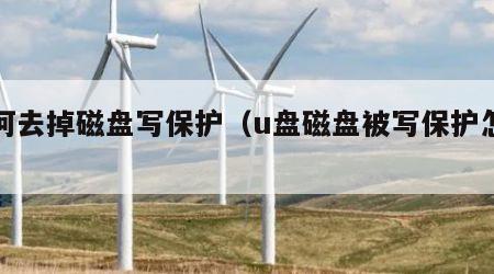 如何去掉磁盘写保护（u盘磁盘被写保护怎么办）