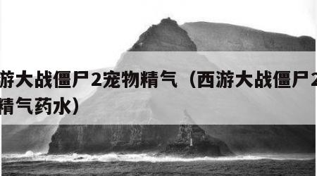 西游大战僵尸2宠物精气（西游大战僵尸2宠物精气药水）