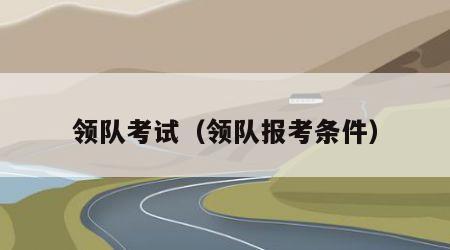 领队考试（领队报考条件）