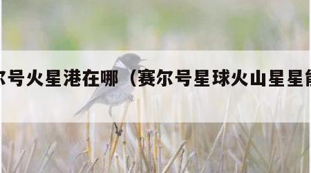 赛尔号火星港在哪（赛尔号星球火山星星能获取）