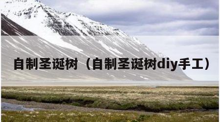 自制圣诞树（自制圣诞树diy手工）