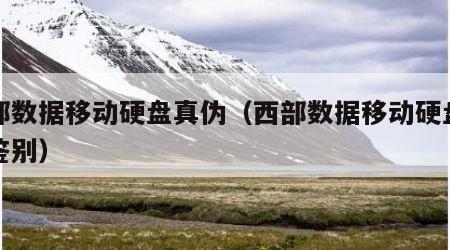 西部数据移动硬盘真伪（西部数据移动硬盘真伪鉴别）