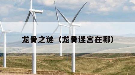 龙骨之谜（龙骨迷宫在哪）