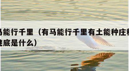 有马能行千里（有马能行千里有土能种庄稼谜语谜底是什么）