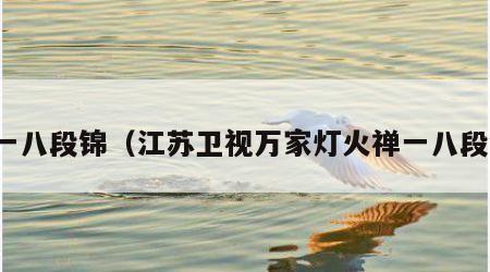 禅一八段锦（江苏卫视万家灯火禅一八段锦）
