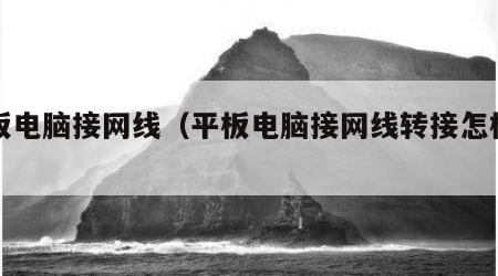 平板电脑接网线（平板电脑接网线转接怎样设置）