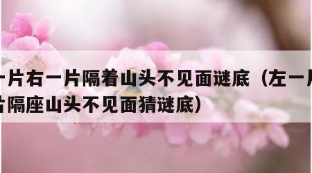左一片右一片隔着山头不见面谜底（左一片右一片隔座山头不见面猜谜底）