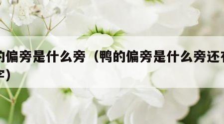 鸭的偏旁是什么旁（鸭的偏旁是什么旁还有什么字）