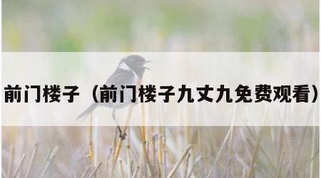 前门楼子（前门楼子九丈九免费观看）