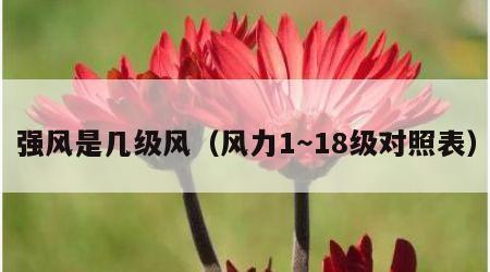 强风是几级风（风力1～18级对照表）
