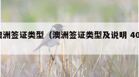 澳洲签证类型（澳洲签证类型及说明 408）