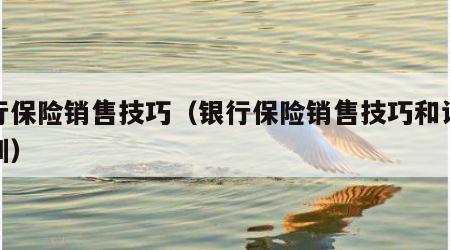 银行保险销售技巧（银行保险销售技巧和话术培训）