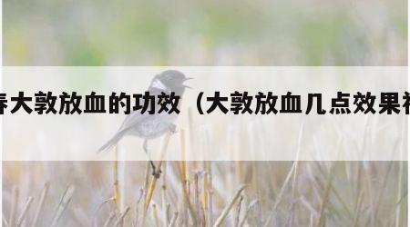 立春大敦放血的功效（大敦放血几点效果视频）