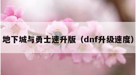 地下城与勇士速升版（dnf升级速度）