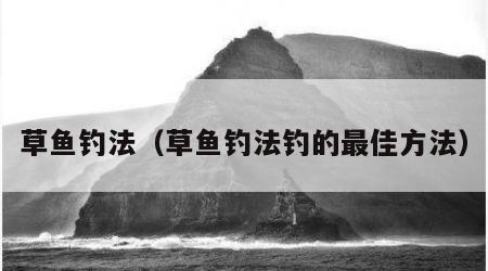 草鱼钓法（草鱼钓法钓的最佳方法）