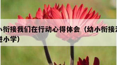 幼小衔接我们在行动心得体会（幼小衔接活动走进小学）