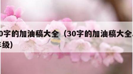 30字的加油稿大全（30字的加油稿大全二年级）