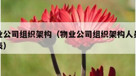 物业公司组织架构（物业公司组织架构人员配置表）