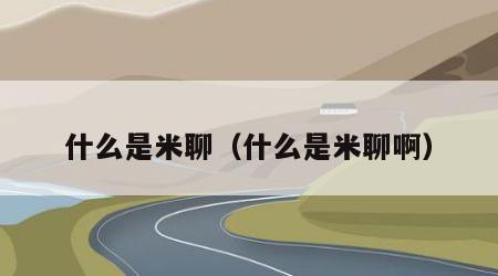 什么是米聊（什么是米聊啊）