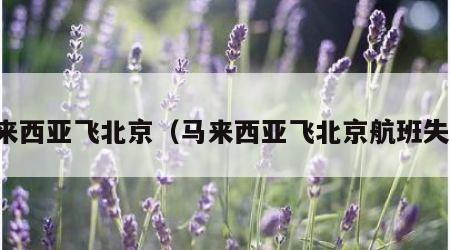 马来西亚飞北京（马来西亚飞北京航班失事）