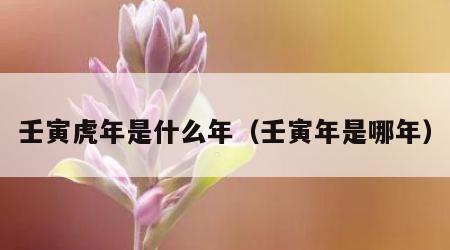 壬寅虎年是什么年（壬寅年是哪年）