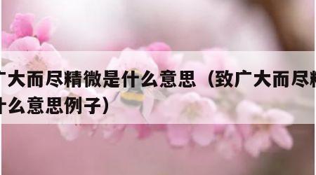 致广大而尽精微是什么意思（致广大而尽精微是什么意思例子）