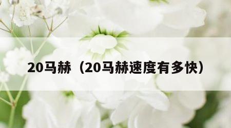 20马赫（20马赫速度有多快）