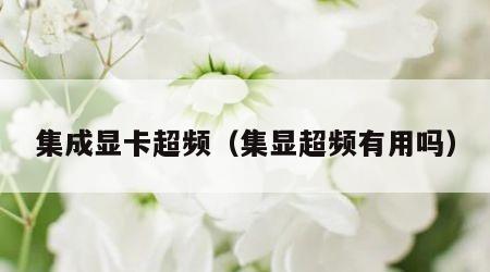 集成显卡超频（集显超频有用吗）
