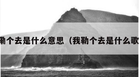 我嘞个去是什么意思（我勒个去是什么歌曲）