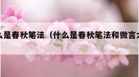 什么是春秋笔法（什么是春秋笔法和微言大义）