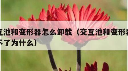 交互池和变形器怎么卸载（交互池和变形器卸载不了为什么）