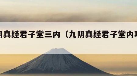 九阴真经君子堂三内（九阴真经君子堂内功详解）