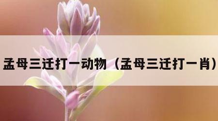 孟母三迁打一动物（孟母三迁打一肖）