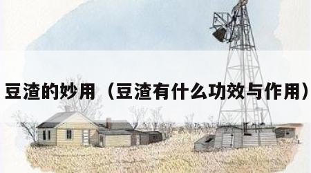 豆渣的妙用（豆渣有什么功效与作用）