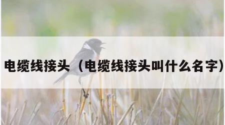 电缆线接头（电缆线接头叫什么名字）