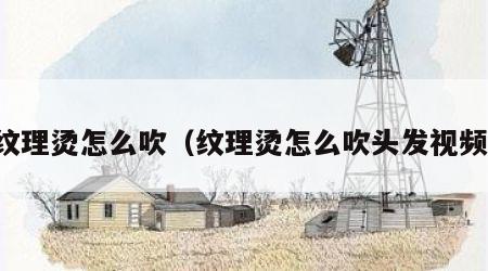纹理烫怎么吹（纹理烫怎么吹头发视频）