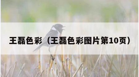 王磊色彩（王磊色彩图片第10页）