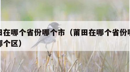 莆田在哪个省份哪个市（莆田在哪个省份哪个市哪个区）