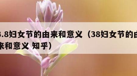 3.8妇女节的由来和意义（38妇女节的由来和意义 知乎）