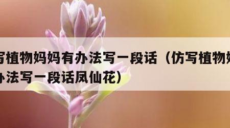 仿写植物妈妈有办法写一段话（仿写植物妈妈有办法写一段话凤仙花）
