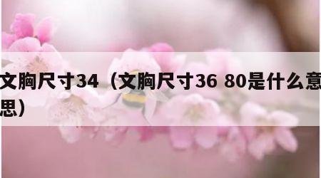 文胸尺寸34（文胸尺寸36 80是什么意思）