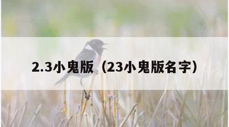 2.3小鬼版（23小鬼版名字）