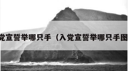 入党宣誓举哪只手（入党宣誓举哪只手图片）