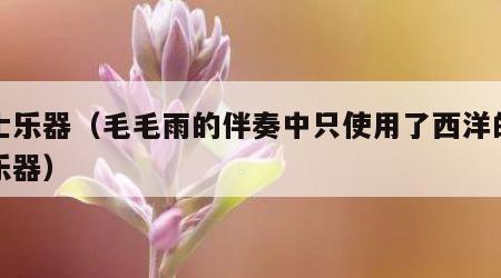 爵士乐器（毛毛雨的伴奏中只使用了西洋的爵士乐器）