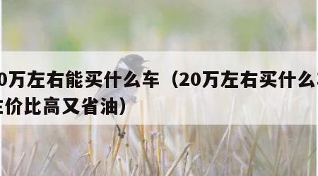 20万左右能买什么车（20万左右买什么车性价比高又省油）