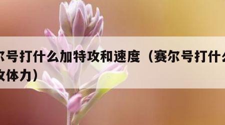 赛尔号打什么加特攻和速度（赛尔号打什么加特攻体力）