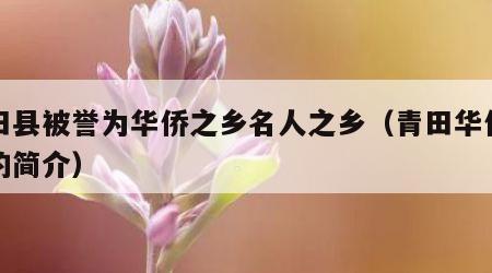 青田县被誉为华侨之乡名人之乡（青田华侨之乡的简介）
