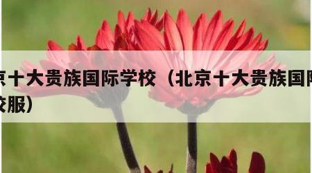 北京十大贵族国际学校（北京十大贵族国际学校校服）