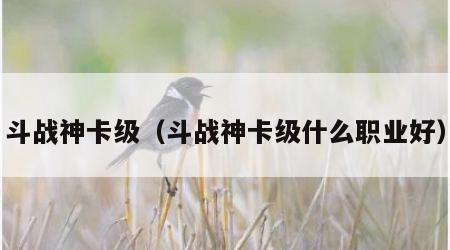 斗战神卡级（斗战神卡级什么职业好）