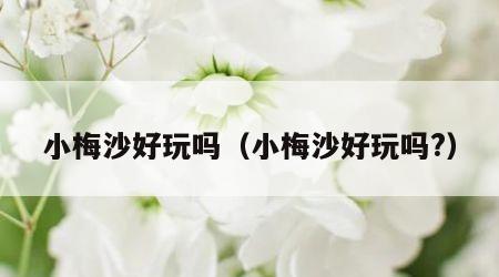 小梅沙好玩吗（小梅沙好玩吗?）